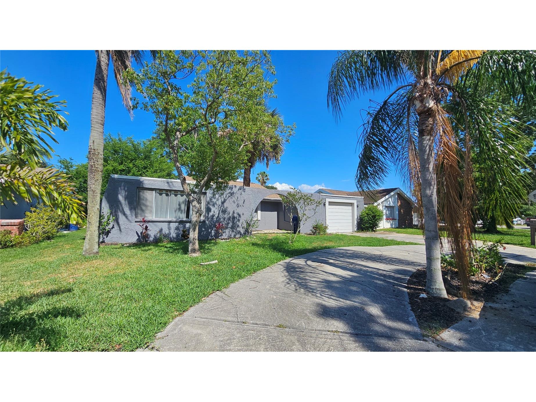 3442 Overland Drive Holiday FL 34691 TB8506662 image1