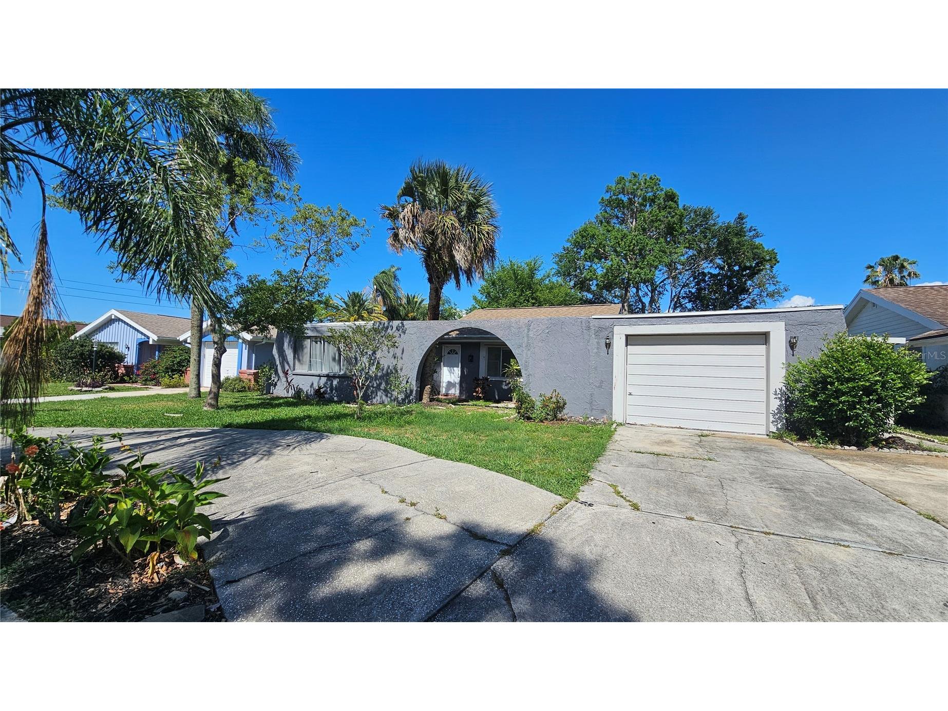 3442 Overland Drive Holiday FL 34691 TB8506662 image2