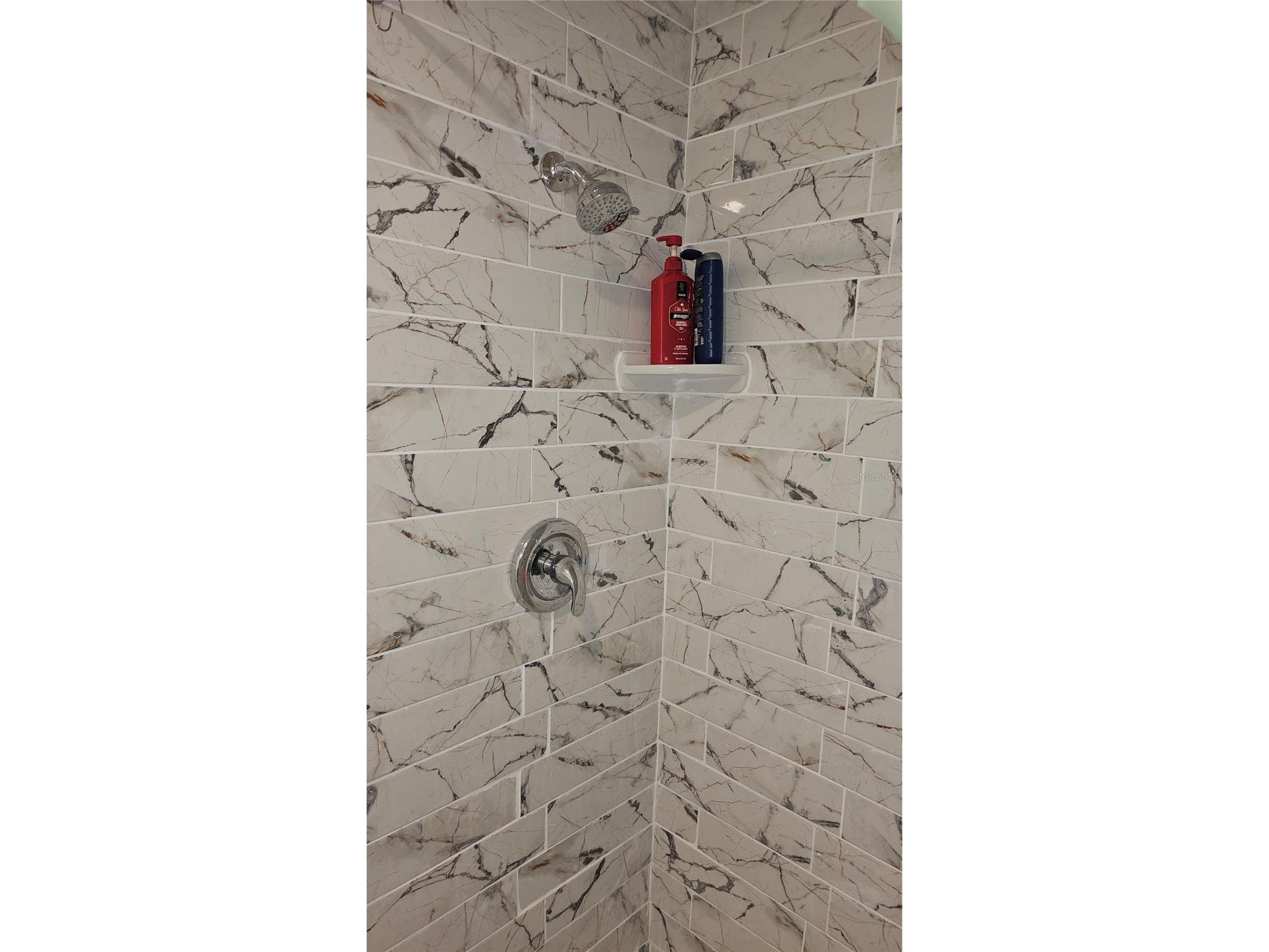 3442 Overland Drive Holiday FL 34691 TB8506662 image28