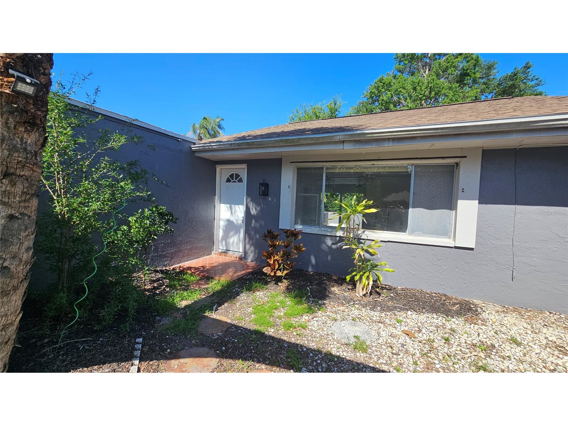 3442 Overland Drive Holiday FL 34691 TB8506662 image3