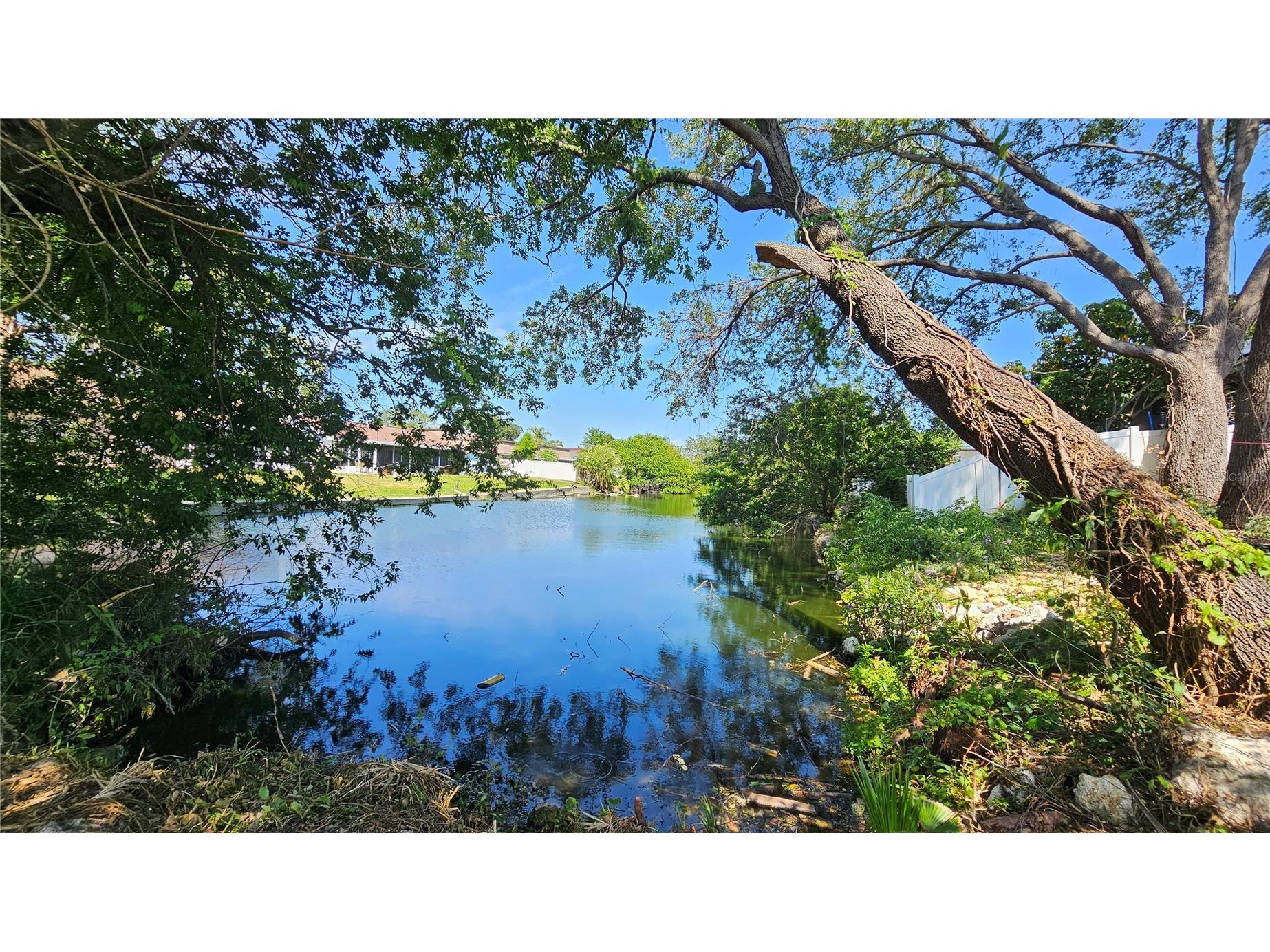 3442 Overland Drive Holiday FL 34691 TB8506662 image56