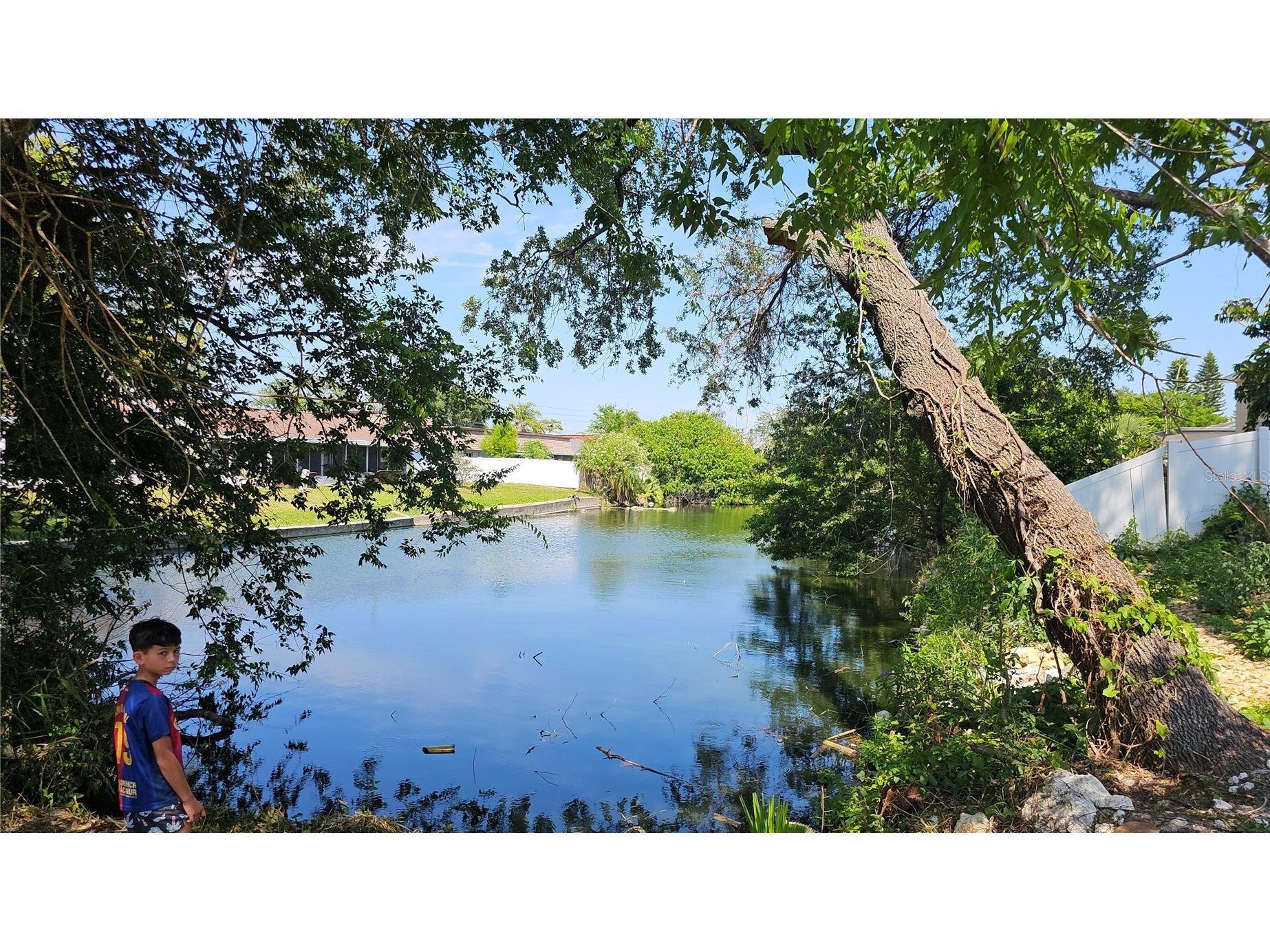 3442 Overland Drive Holiday FL 34691 TB8506662 image57