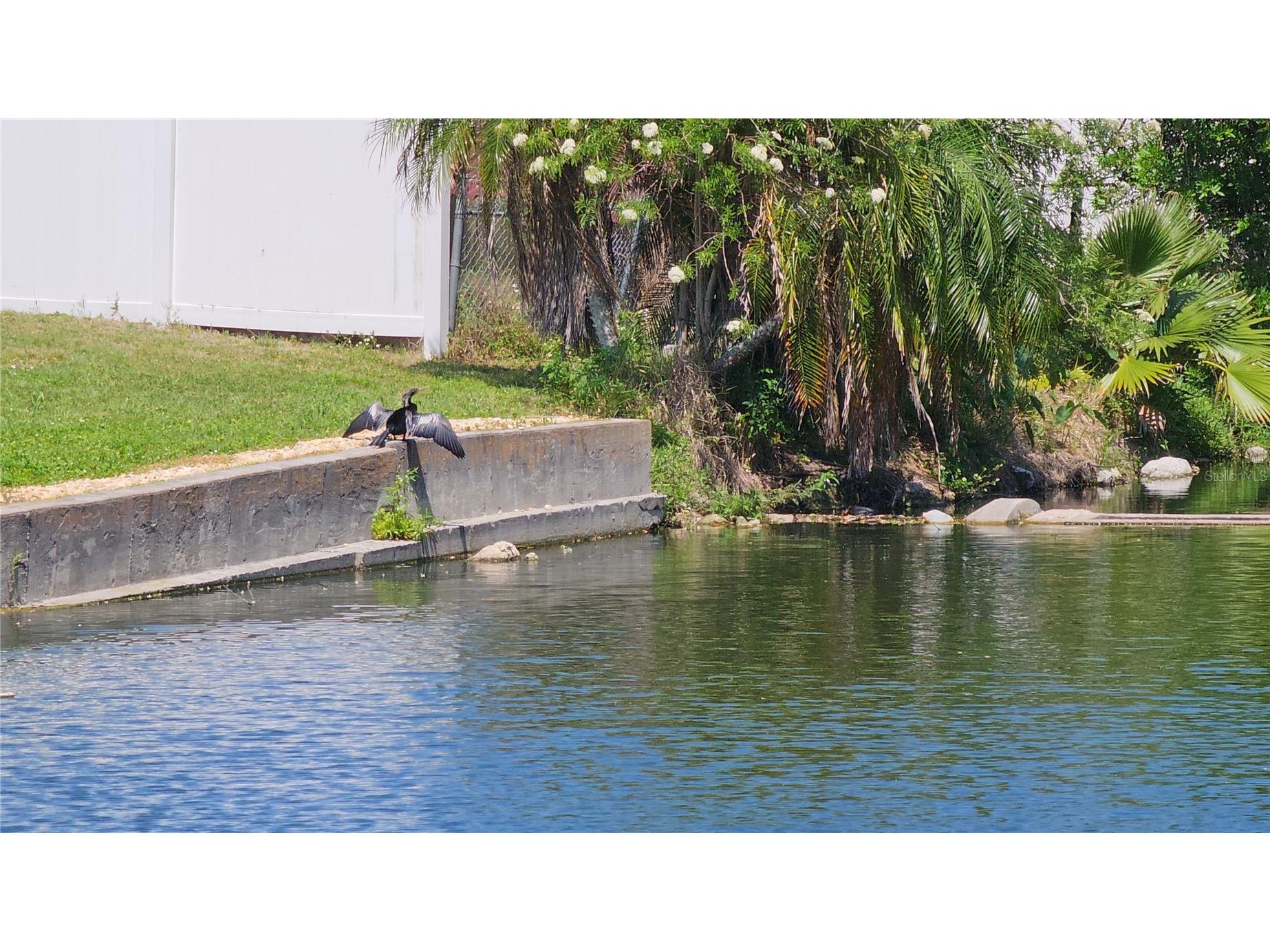 3442 Overland Drive Holiday FL 34691 TB8506662 image58