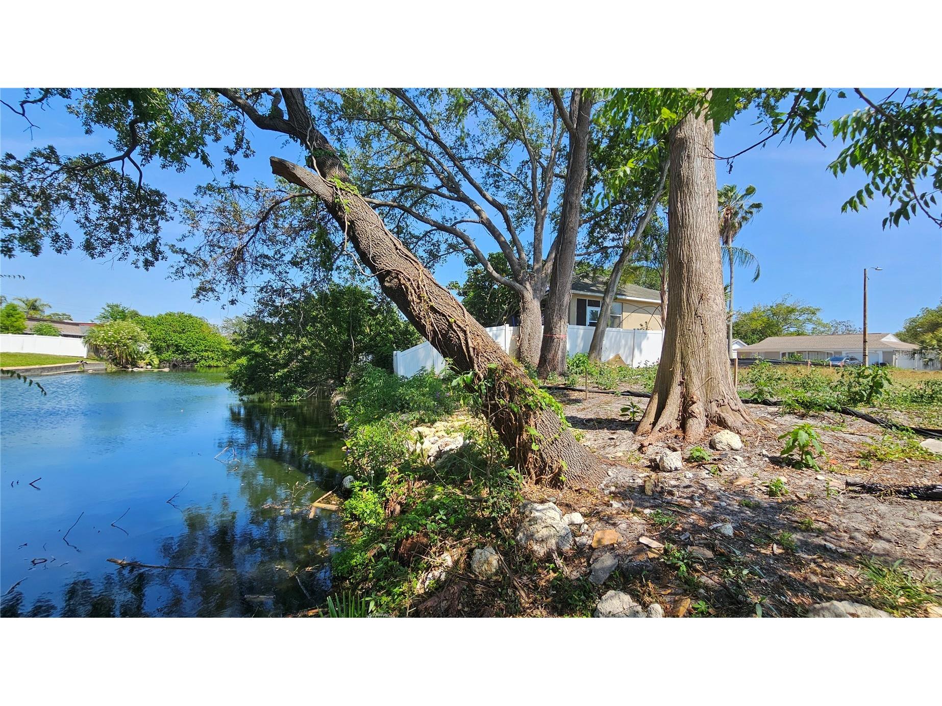 3442 Overland Drive Holiday FL 34691 TB8506662 image61