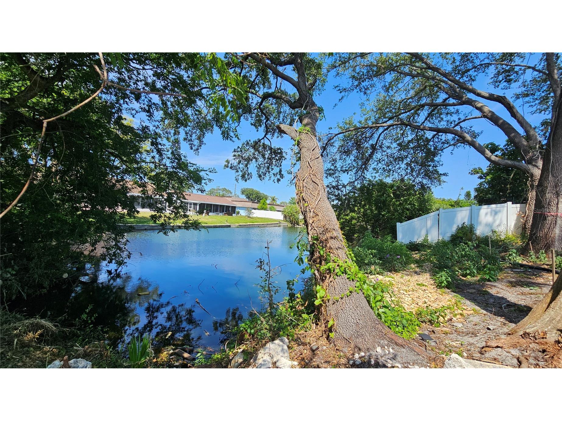 3442 Overland Drive Holiday FL 34691 TB8506662 image62