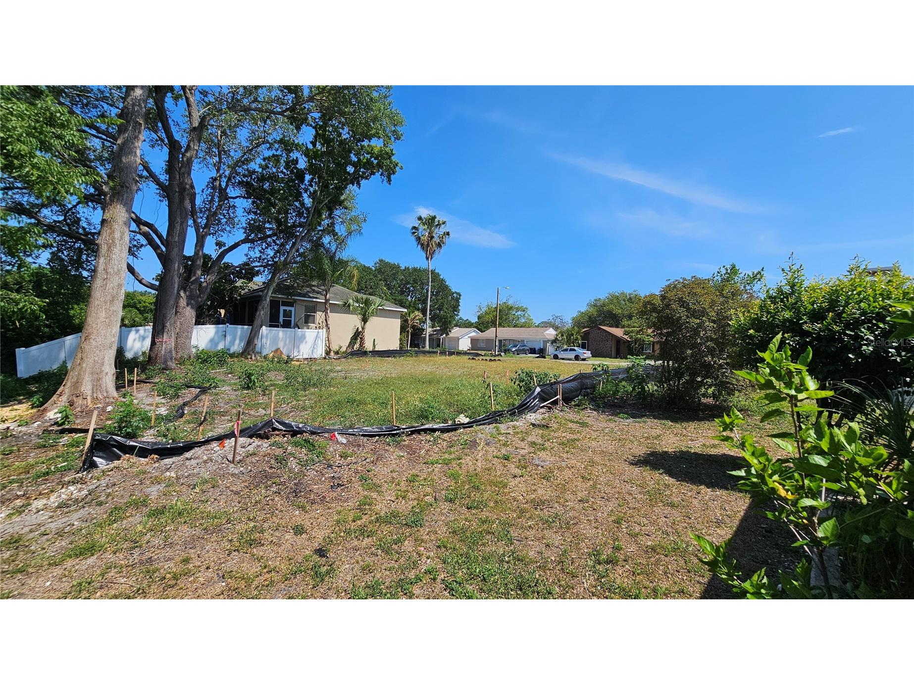 3442 Overland Drive Holiday FL 34691 TB8506662 image63