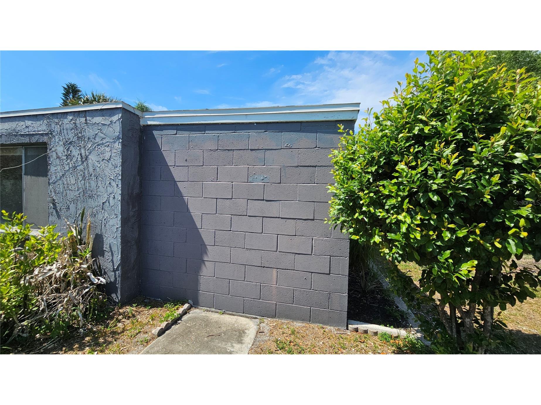 3442 Overland Drive Holiday FL 34691 TB8506662 image68
