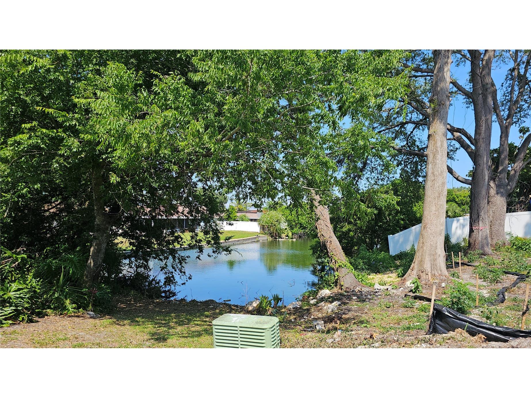 3442 Overland Drive Holiday FL 34691 TB8506662 image75