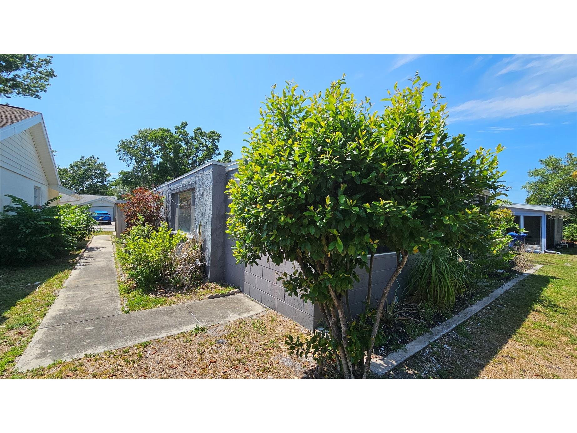 3442 Overland Drive Holiday FL 34691 TB8506662 image78