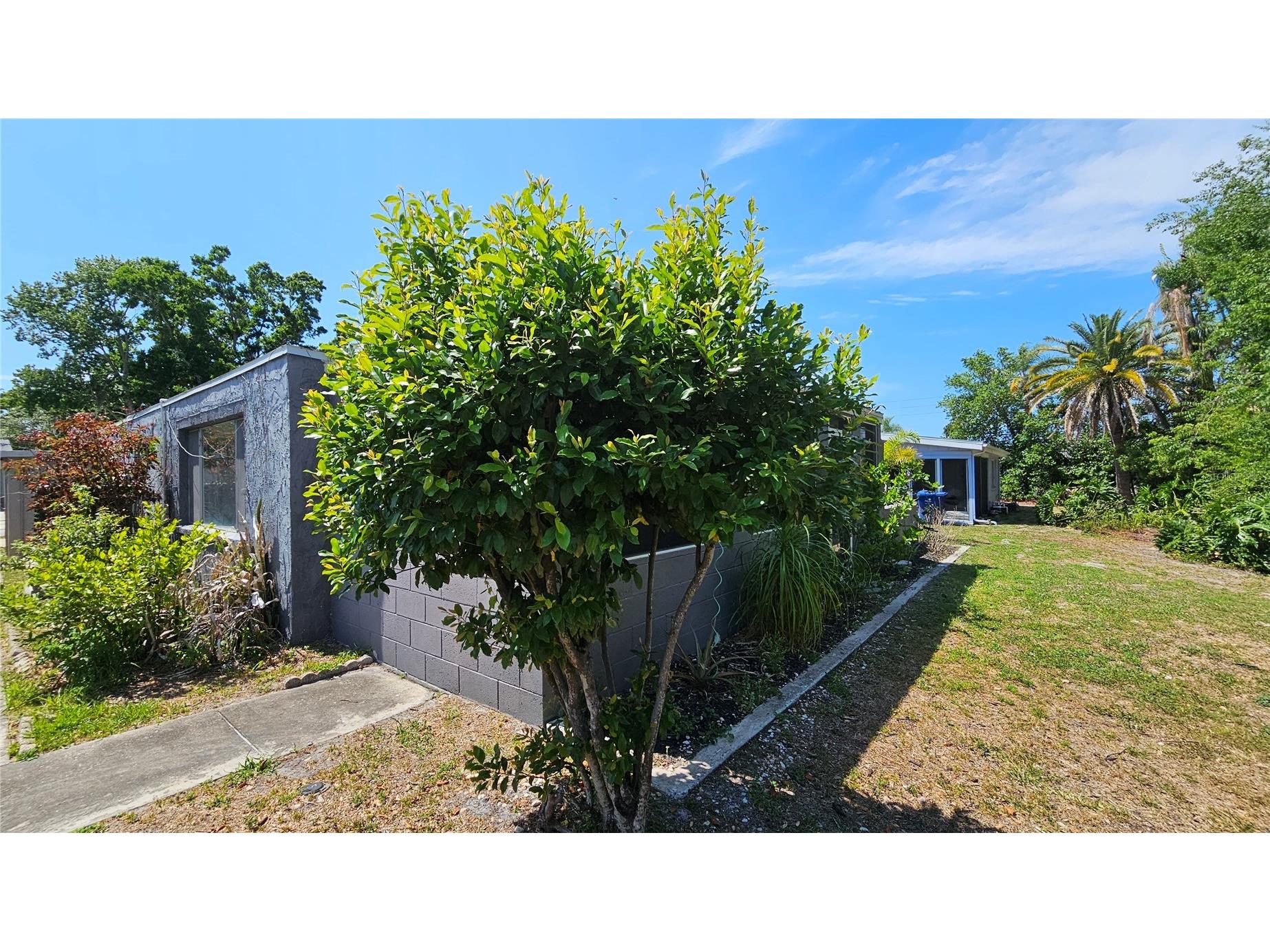 3442 Overland Drive Holiday FL 34691 TB8506662 image85