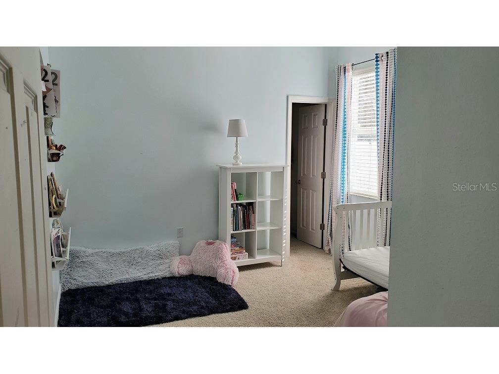 34421 Blue Ash Court Wesley Chapel FL 33545 TB8524469 image12