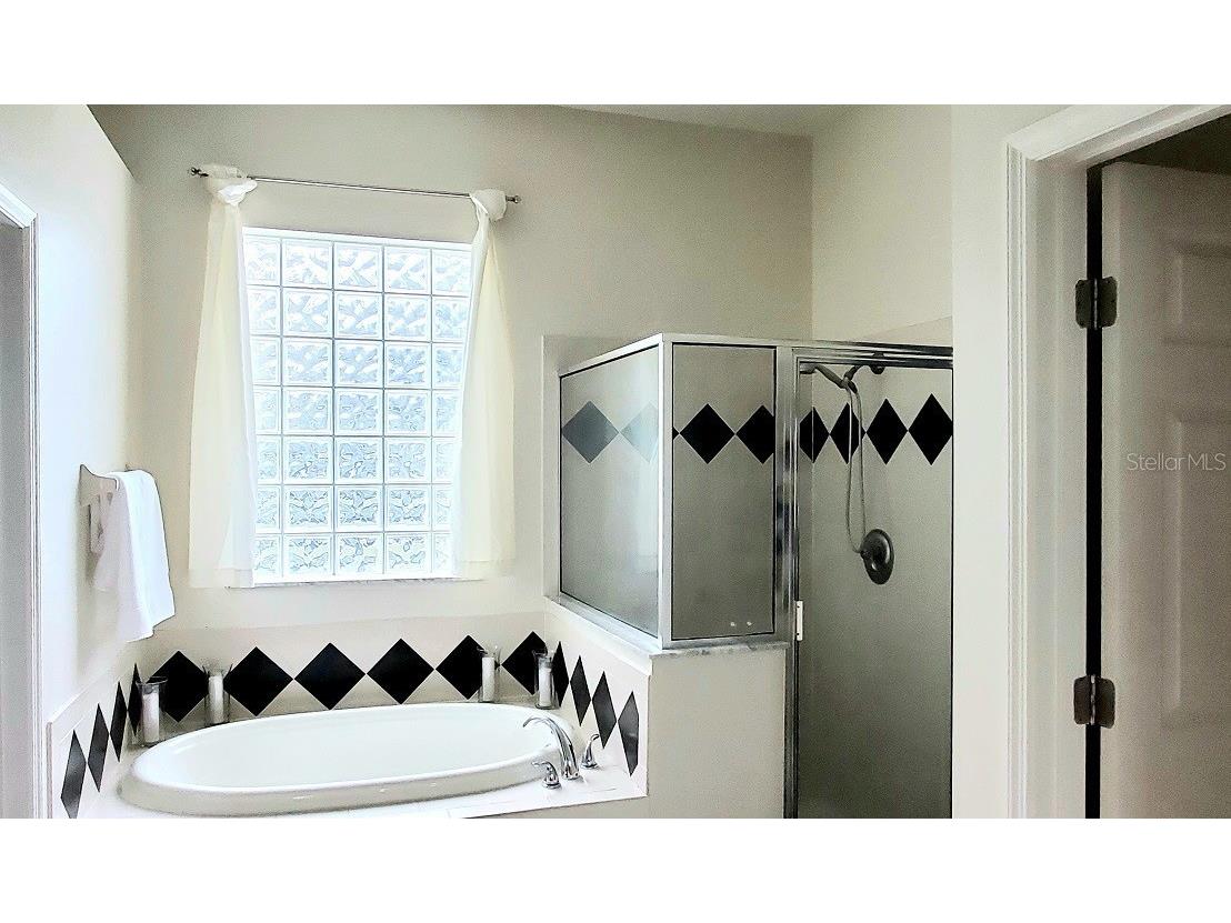 34421 Blue Ash Court Wesley Chapel FL 33545 TB8524469 image14