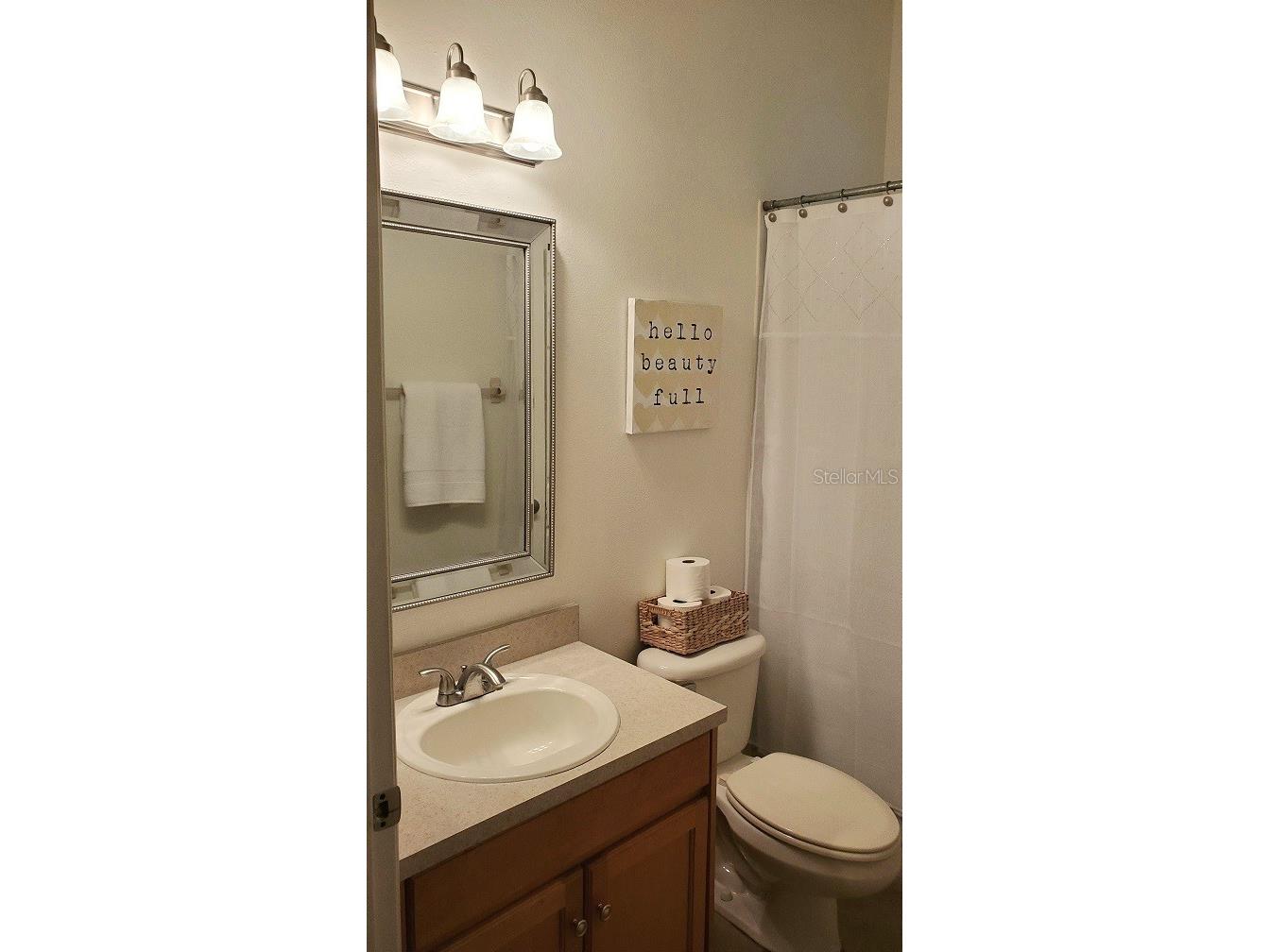 34421 Blue Ash Court Wesley Chapel FL 33545 TB8524469 image15