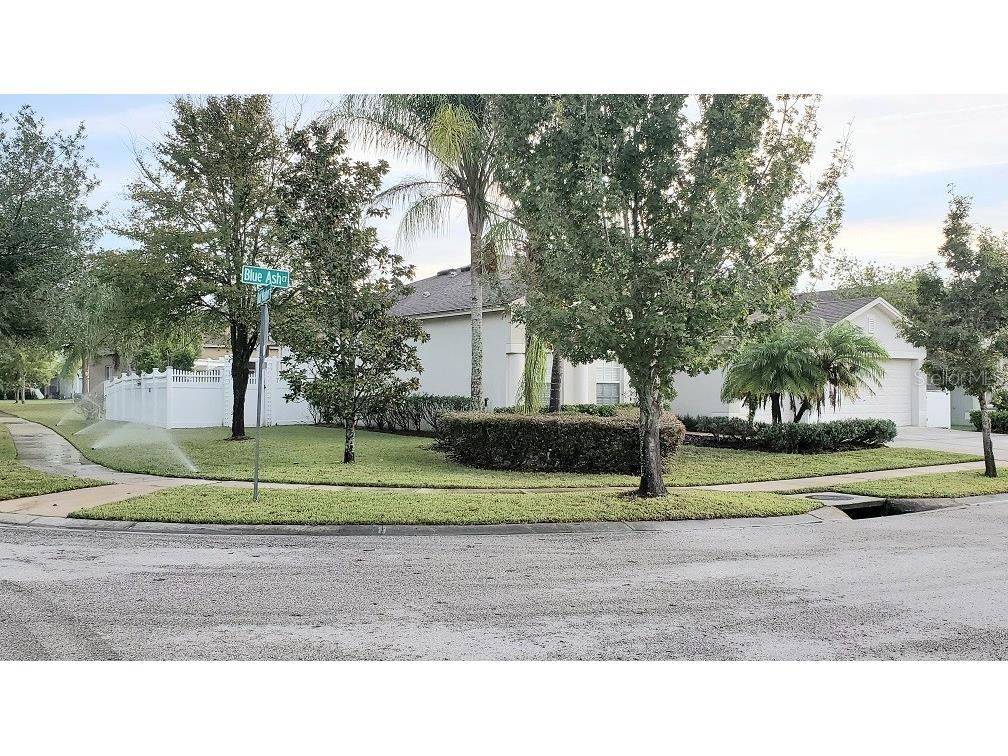 34421 Blue Ash Court Wesley Chapel FL 33545 TB8524469 image2