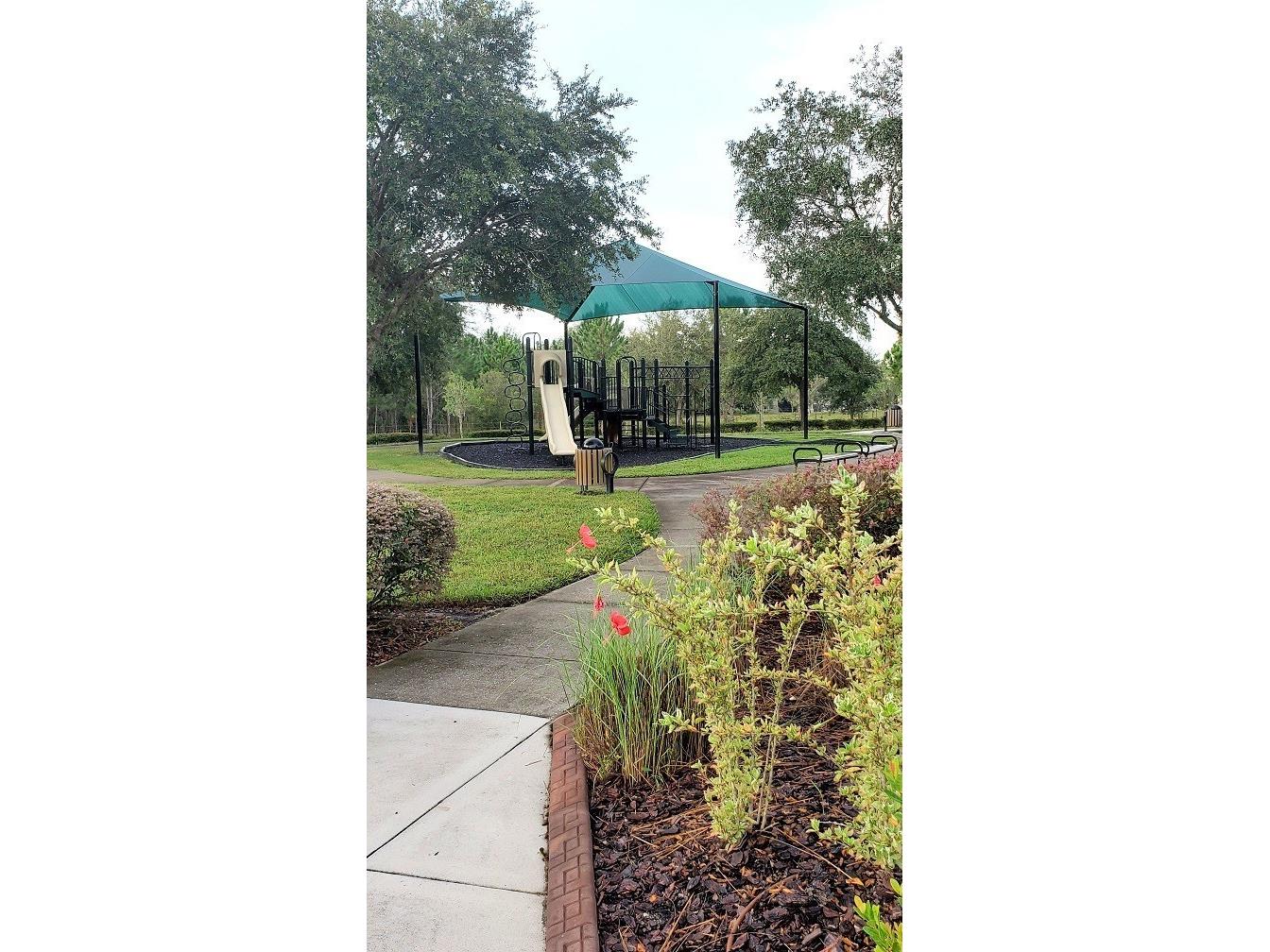 34421 Blue Ash Court Wesley Chapel FL 33545 TB8524469 image22