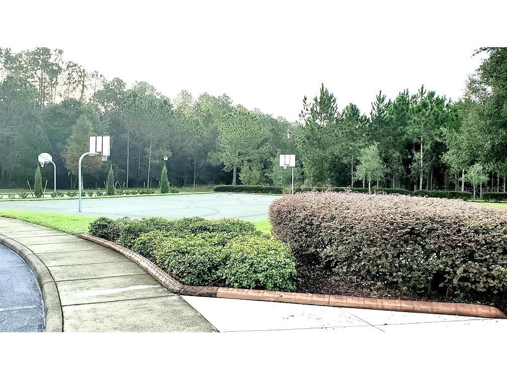 34421 Blue Ash Court Wesley Chapel FL 33545 TB8524469 image23