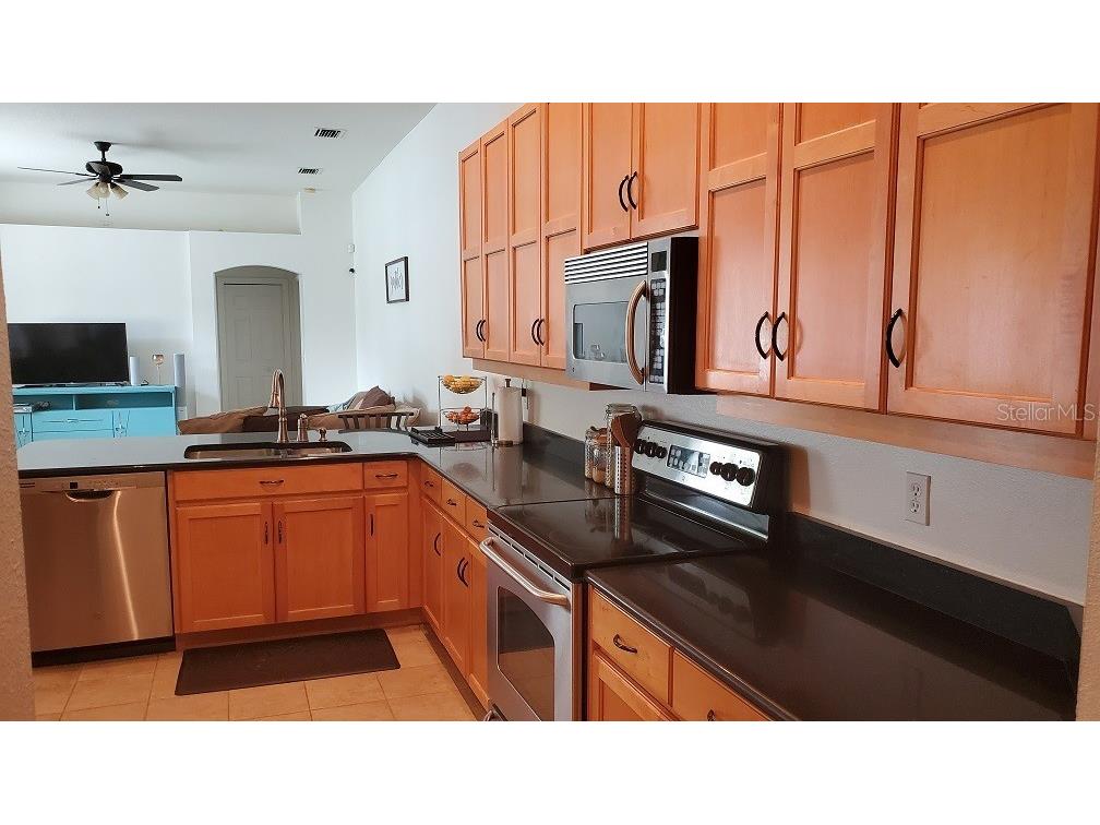 34421 Blue Ash Court Wesley Chapel FL 33545 TB8524469 image6