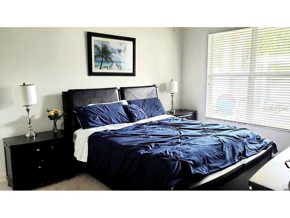 34421 Blue Ash Court Wesley Chapel FL 33545 TB8524469 image9