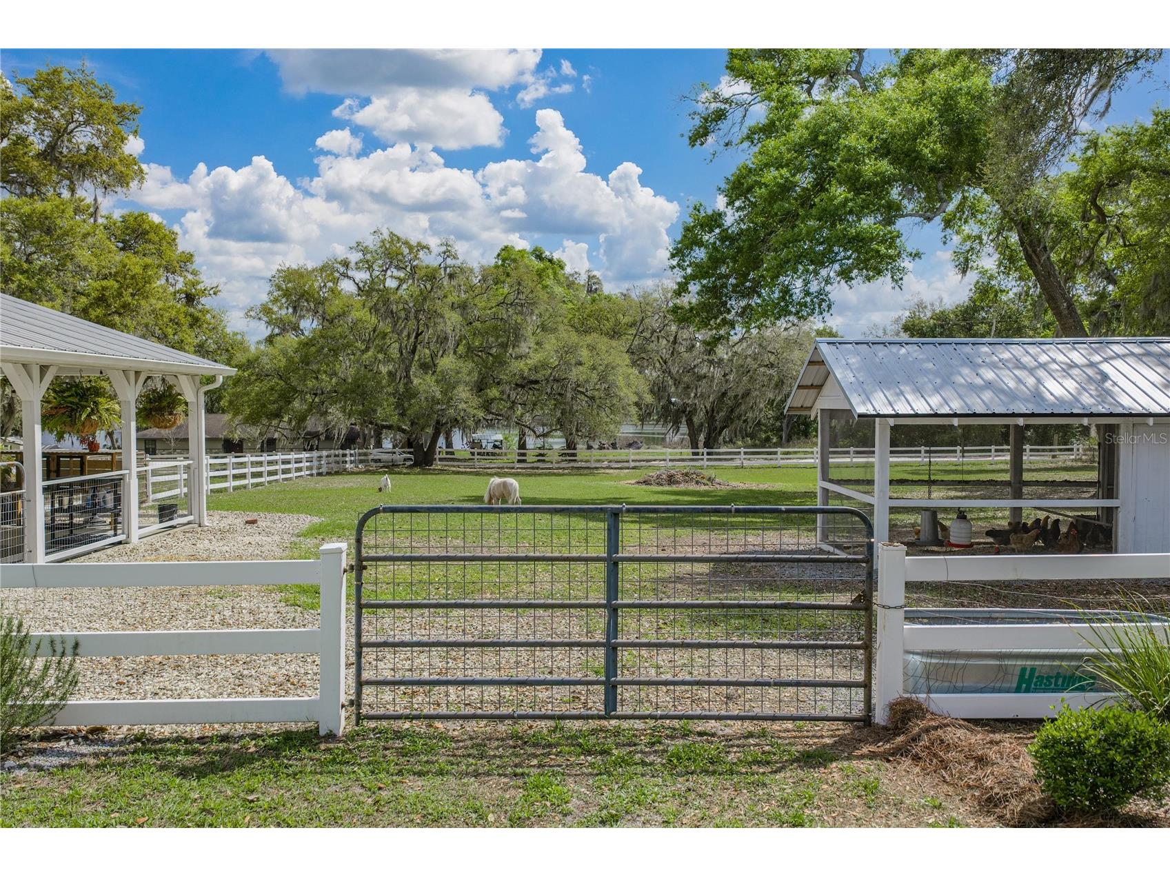 34428 Mission Valley Drive Dade City FL 33525 TB8487267 image87