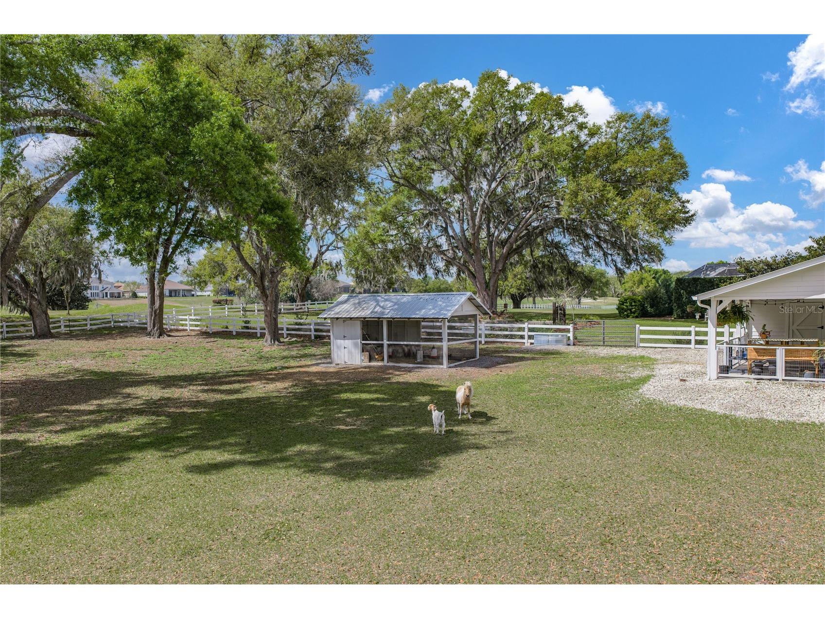 34428 Mission Valley Drive Dade City FL 33525 TB8487267 image90