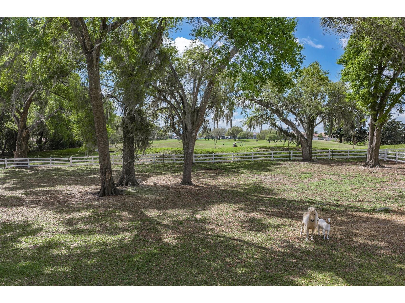 34428 Mission Valley Drive Dade City FL 33525 TB8487267 image91