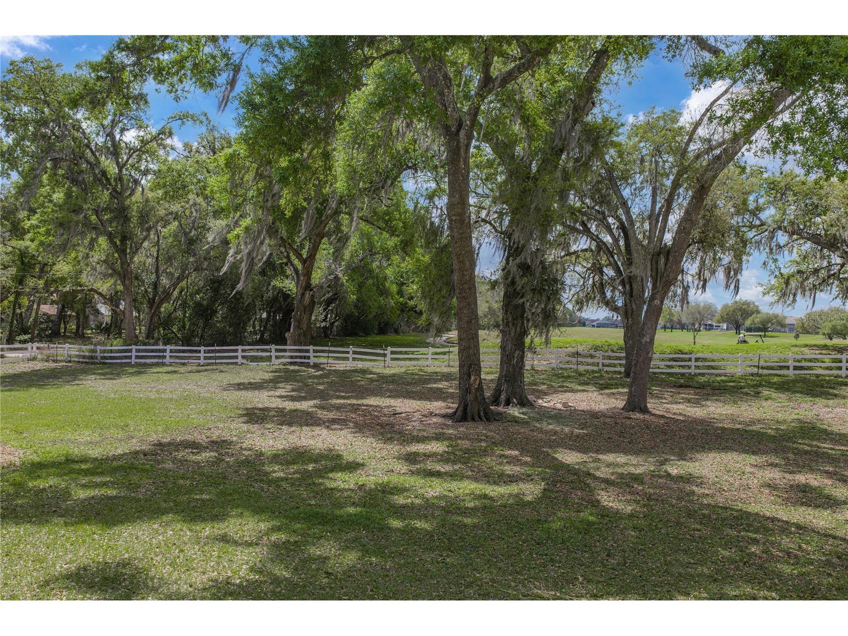 34428 Mission Valley Drive Dade City FL 33525 TB8487267 image92