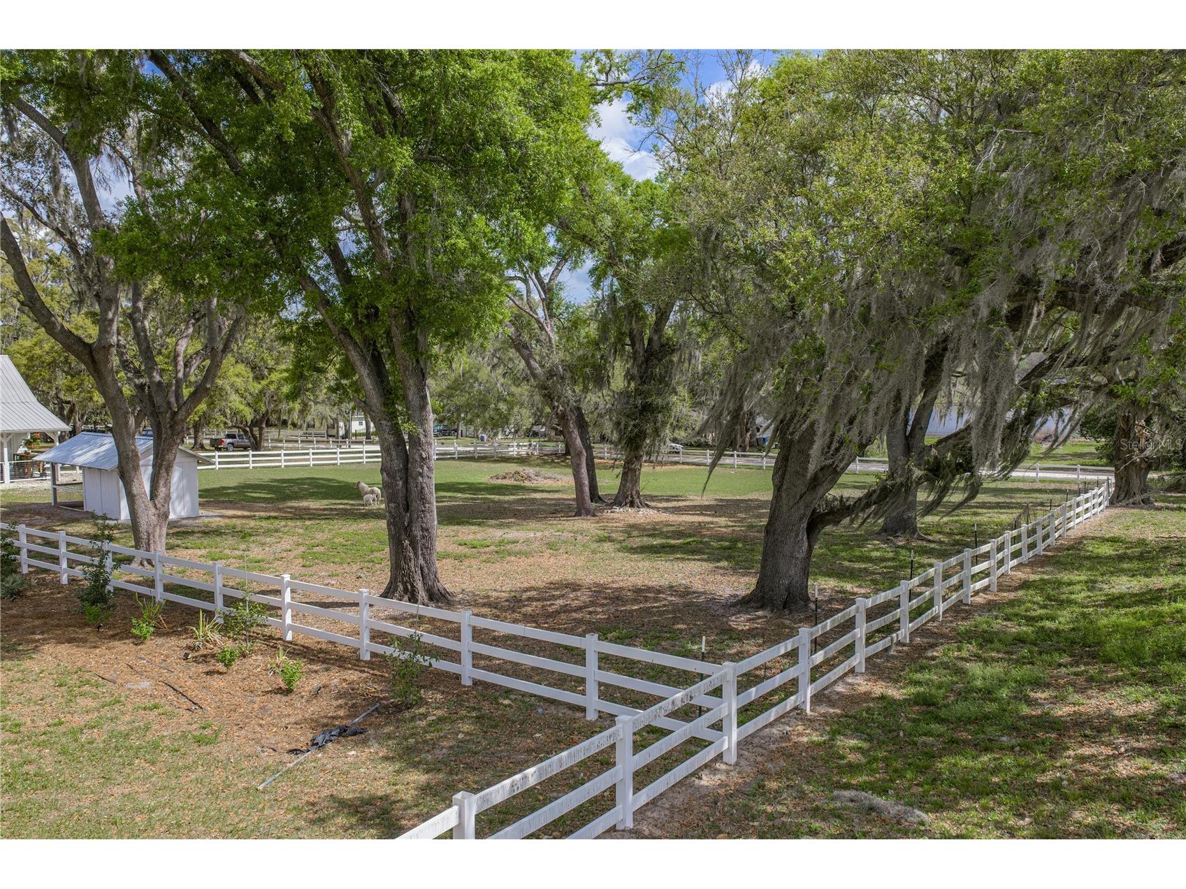 34428 Mission Valley Drive Dade City FL 33525 TB8487267 image94