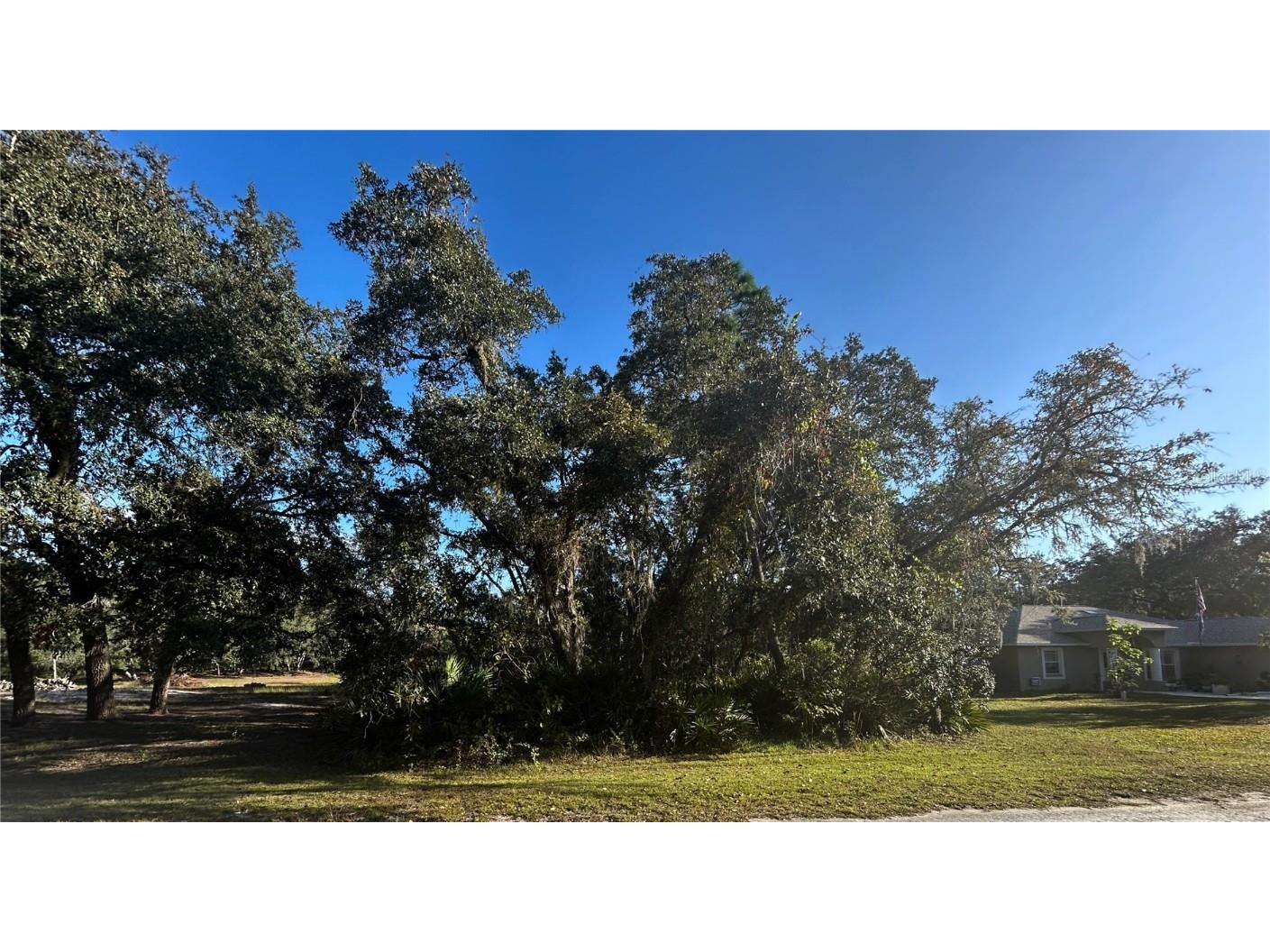 34429 Manuel Street Webster FL 33597 W7880229 image1