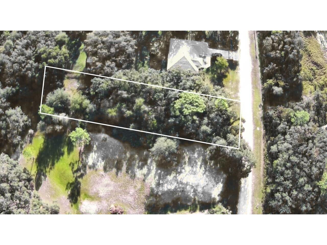 34429 Manuel Street Webster FL 33597 W7880229 image5