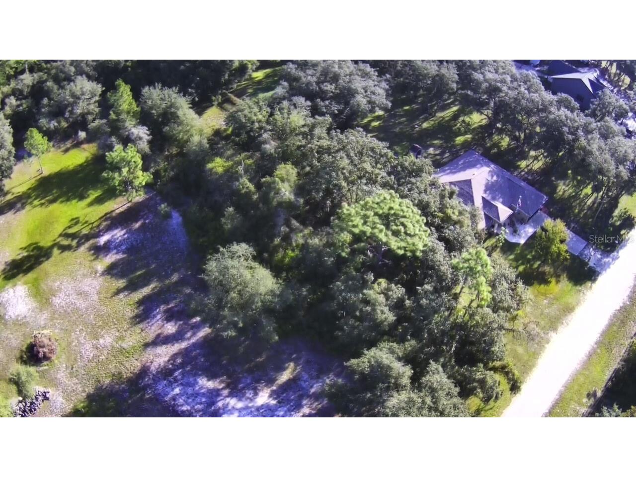 34429 Manuel Street Webster FL 33597 W7880229 image7