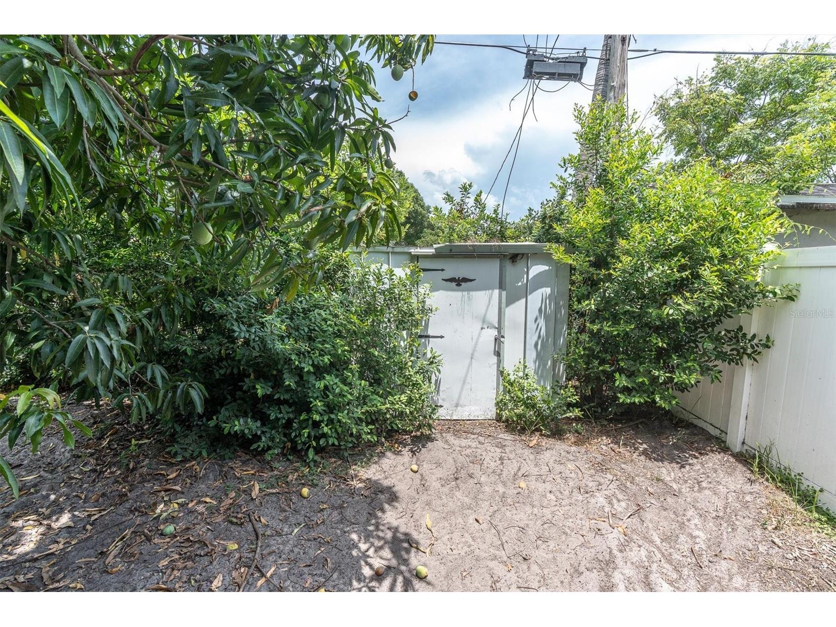 3443 21st Street N Saint Petersburg FL 33713 TB8524357 image29