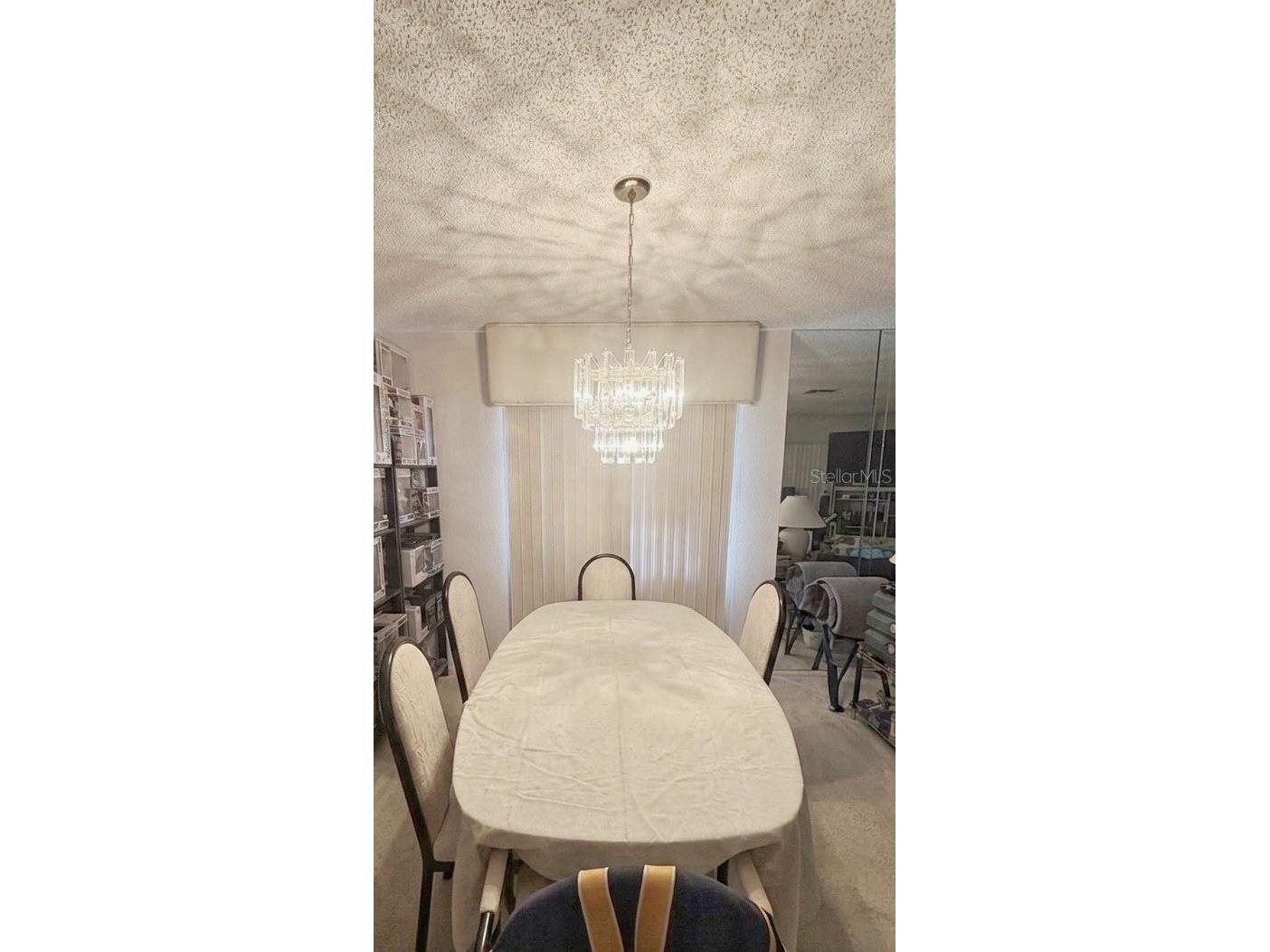 3443 Baronne Court Clearwater FL 33761 TB8483971 image5