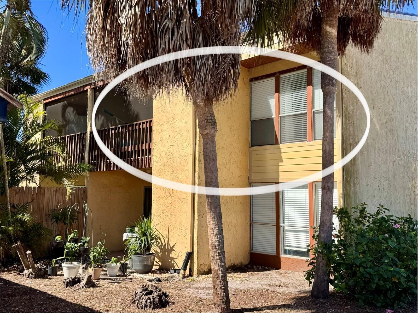 3443 Clark Road #242 Sarasota FL 34231 A4688551 image1