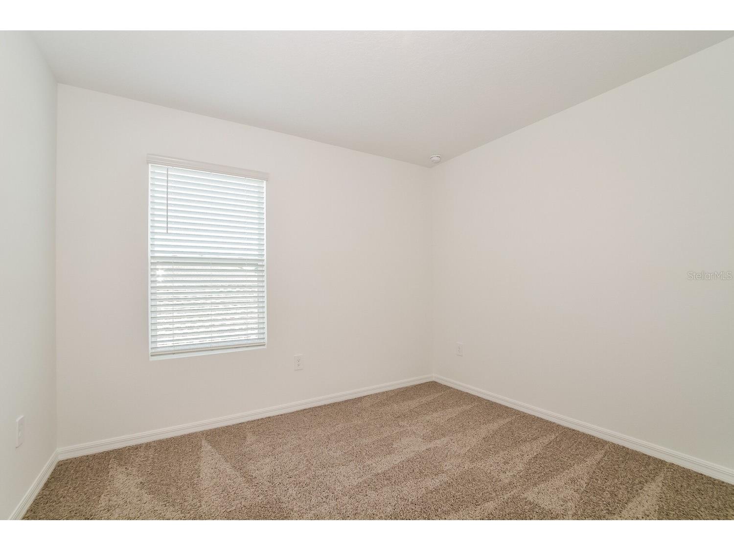 3443 Nettle Loop Tavares FL 32778 O6404638 image5