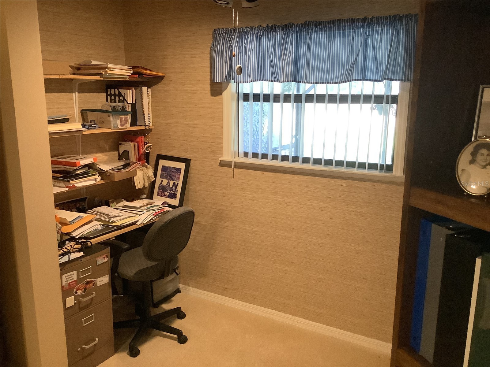 34433 Cedarfield Drive Dade City FL 33523 TB8487042 image22