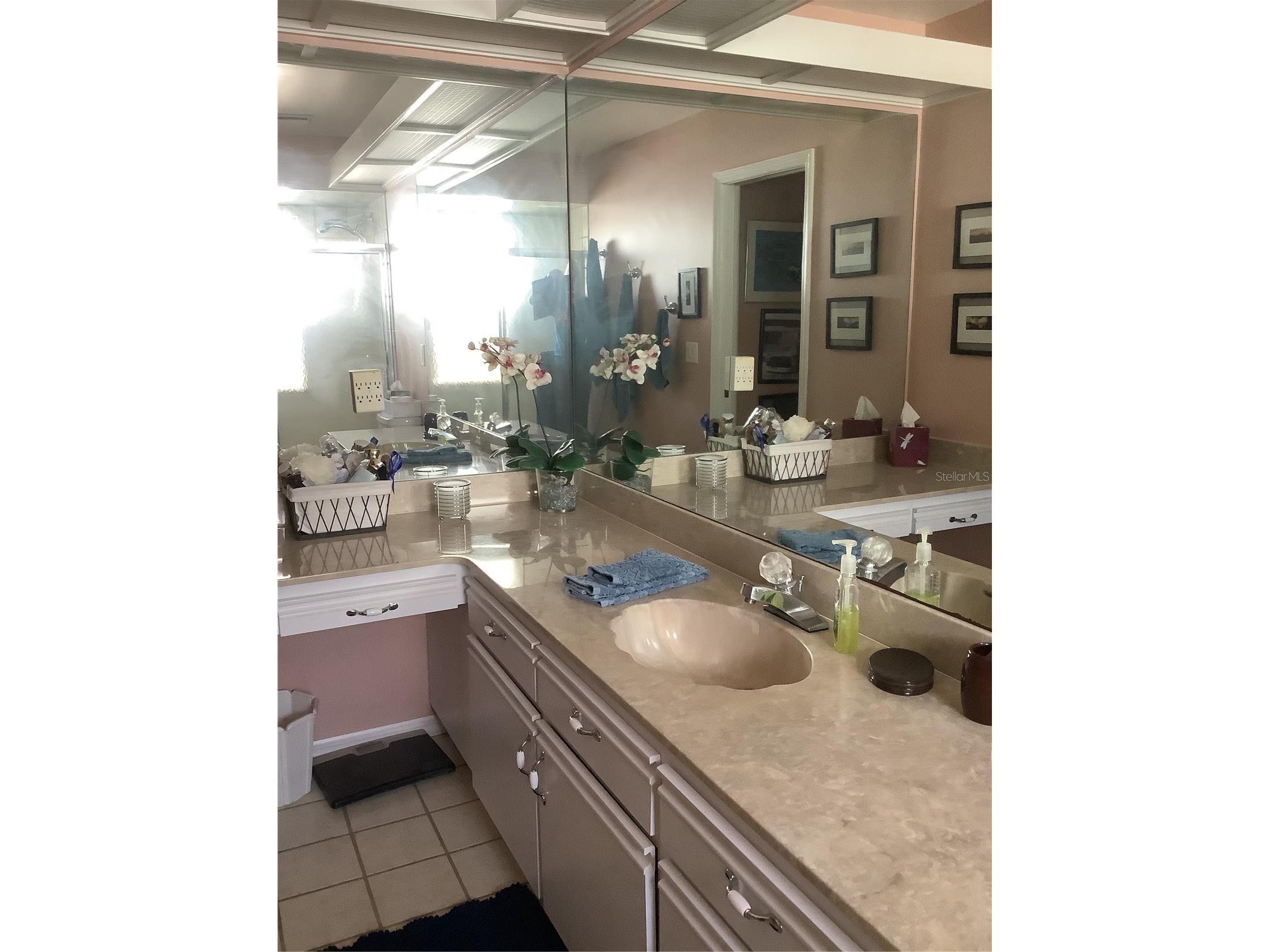 34433 Cedarfield Drive Dade City FL 33523 TB8487042 image27