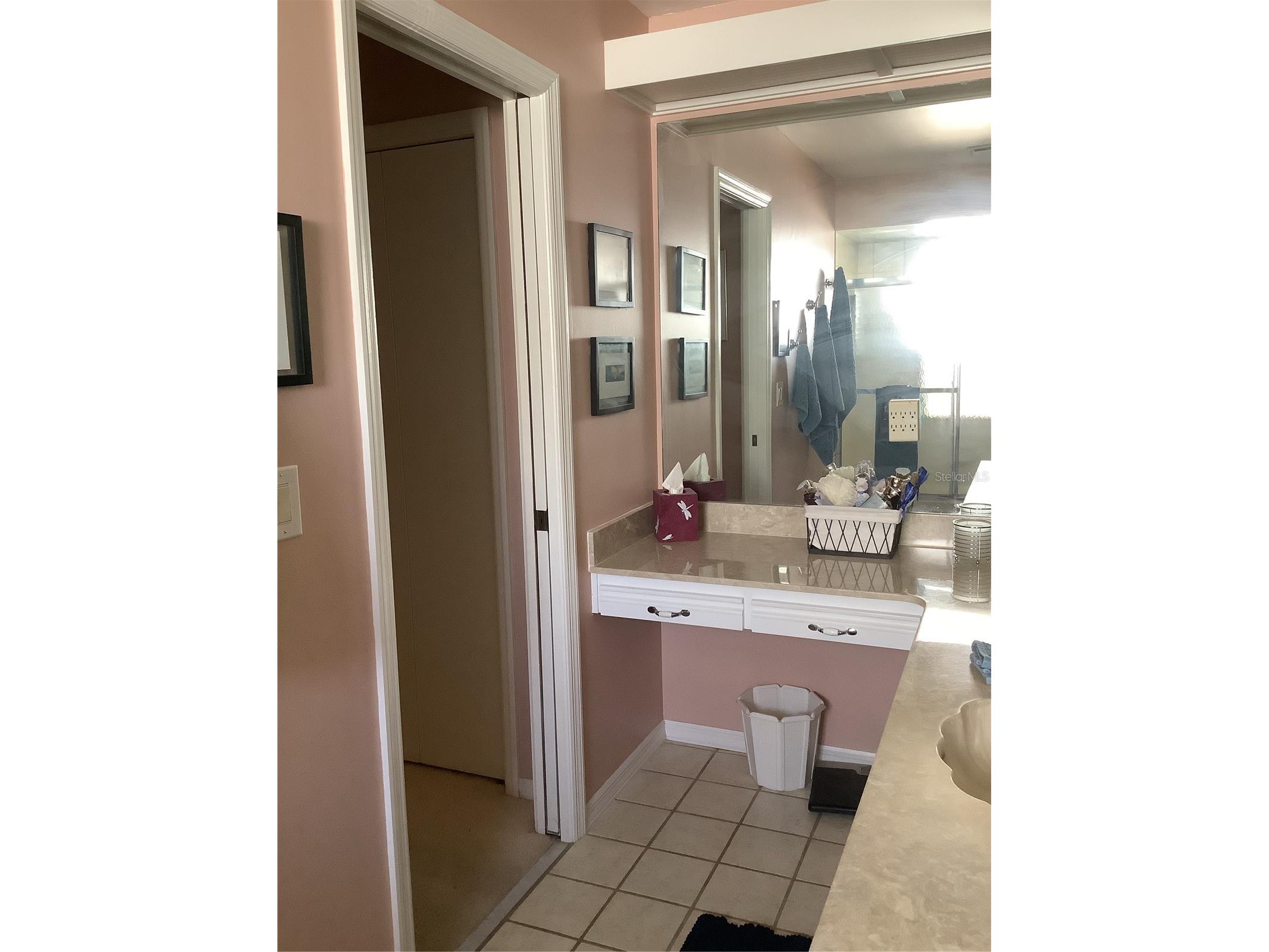 34433 Cedarfield Drive Dade City FL 33523 TB8487042 image28