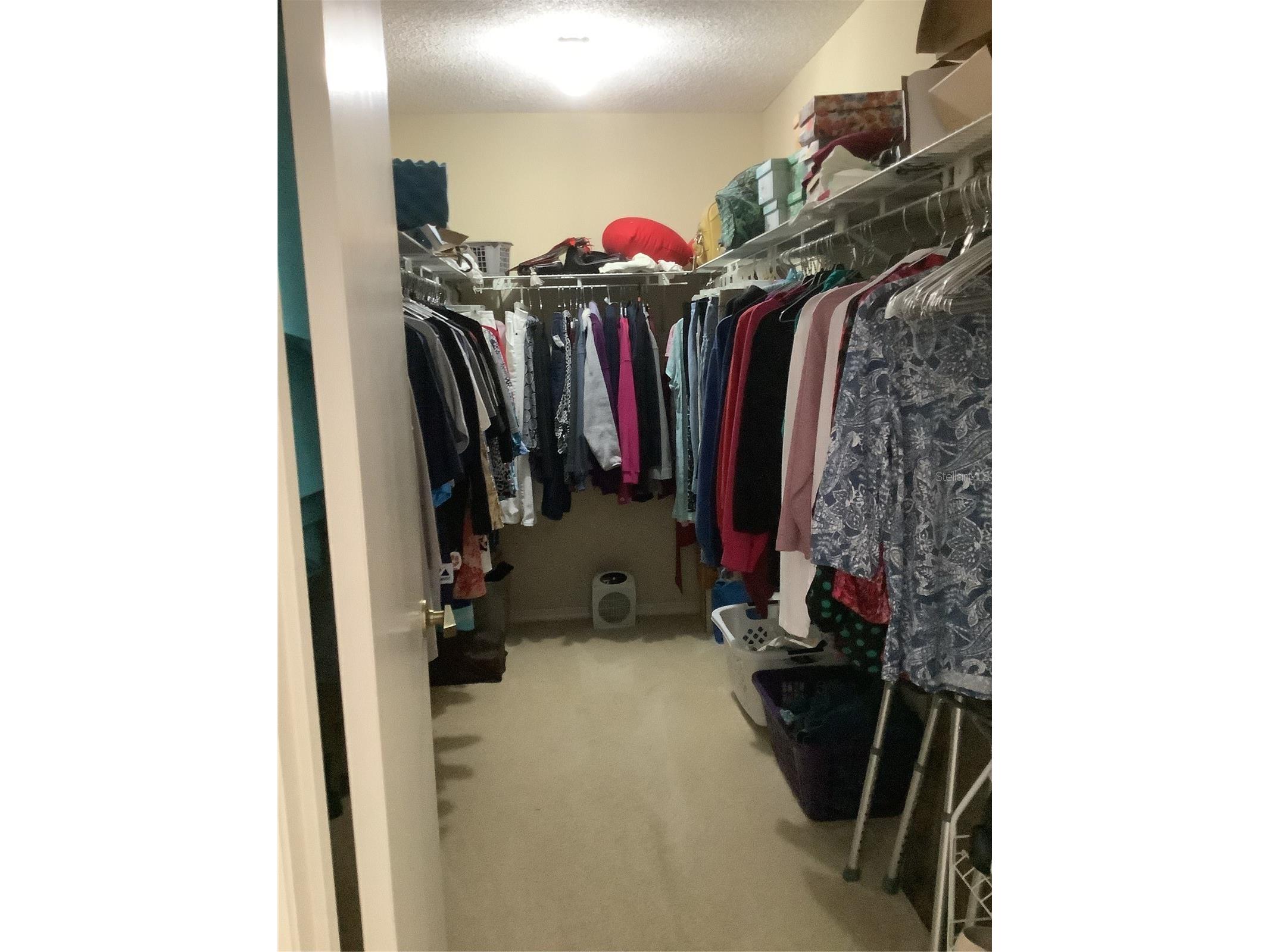 34433 Cedarfield Drive Dade City FL 33523 TB8487042 image42