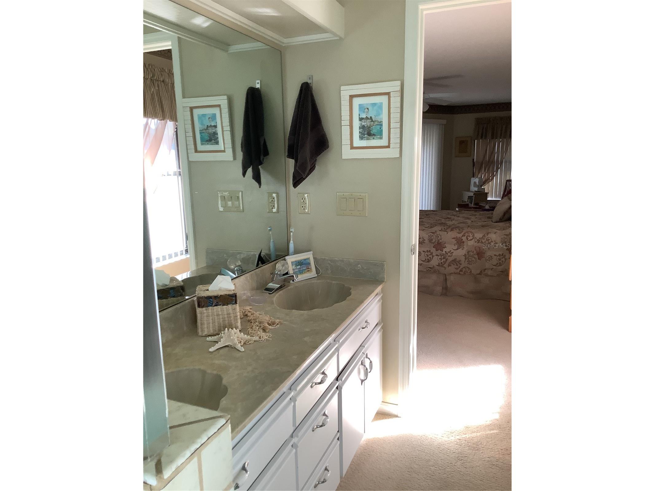 34433 Cedarfield Drive Dade City FL 33523 TB8487042 image48