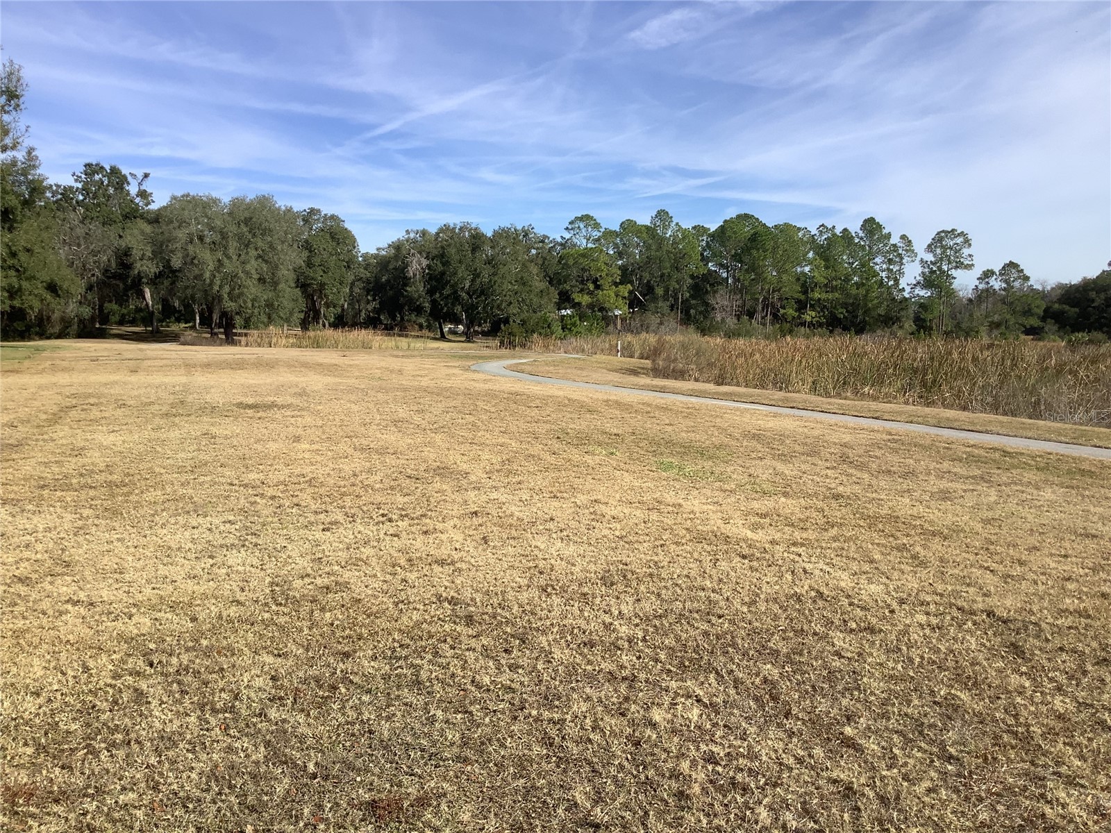 34433 Cedarfield Drive Dade City FL 33523 TB8487042 image53
