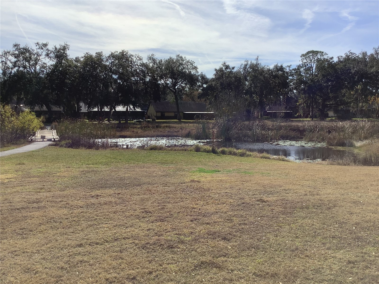 34433 Cedarfield Drive Dade City FL 33523 TB8487042 image54