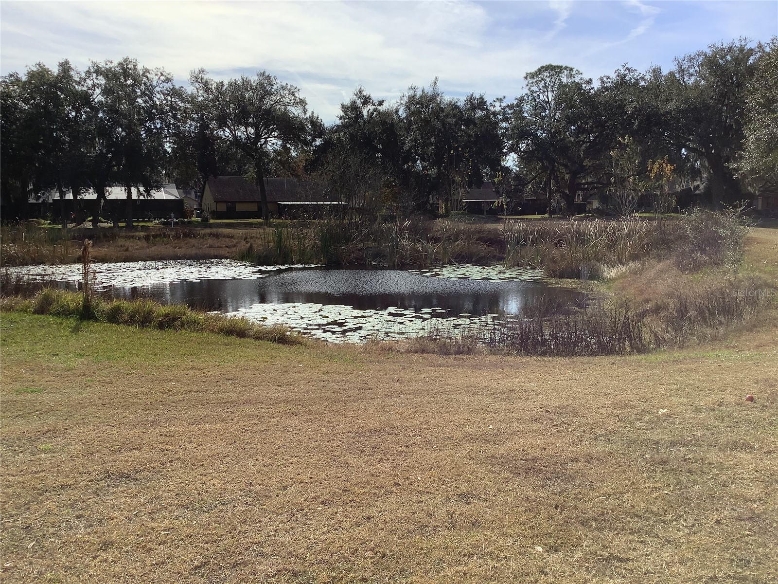 34433 Cedarfield Drive Dade City FL 33523 TB8487042 image55