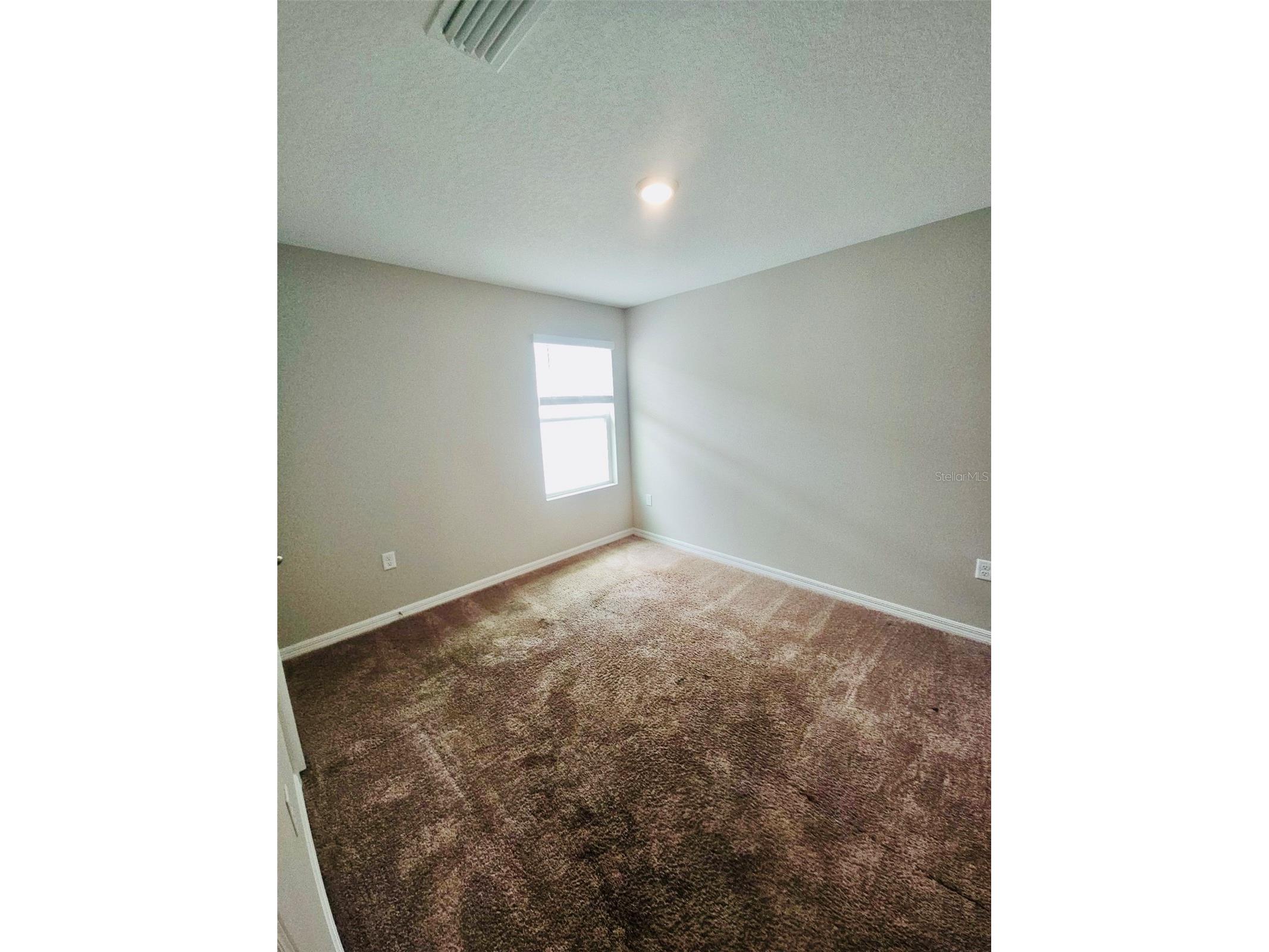 34436 Moonflower Avenue Wesley Chapel FL 33545 TB8508473 image10