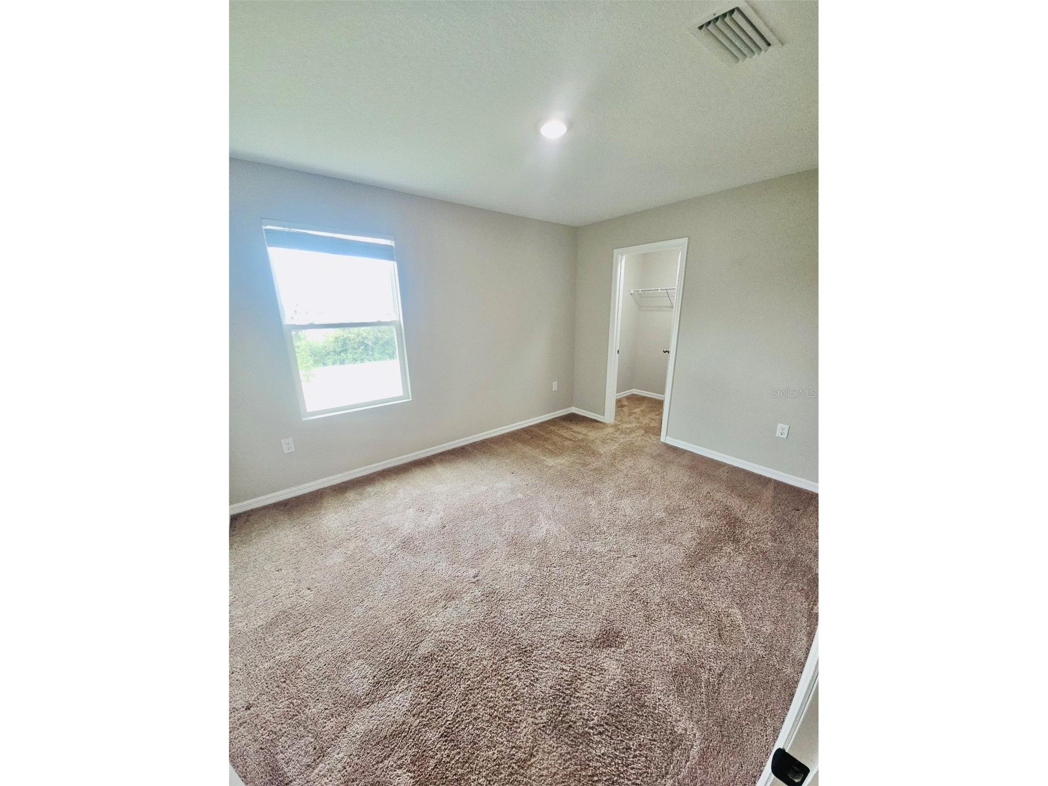 34436 Moonflower Avenue Wesley Chapel FL 33545 TB8508473 image11