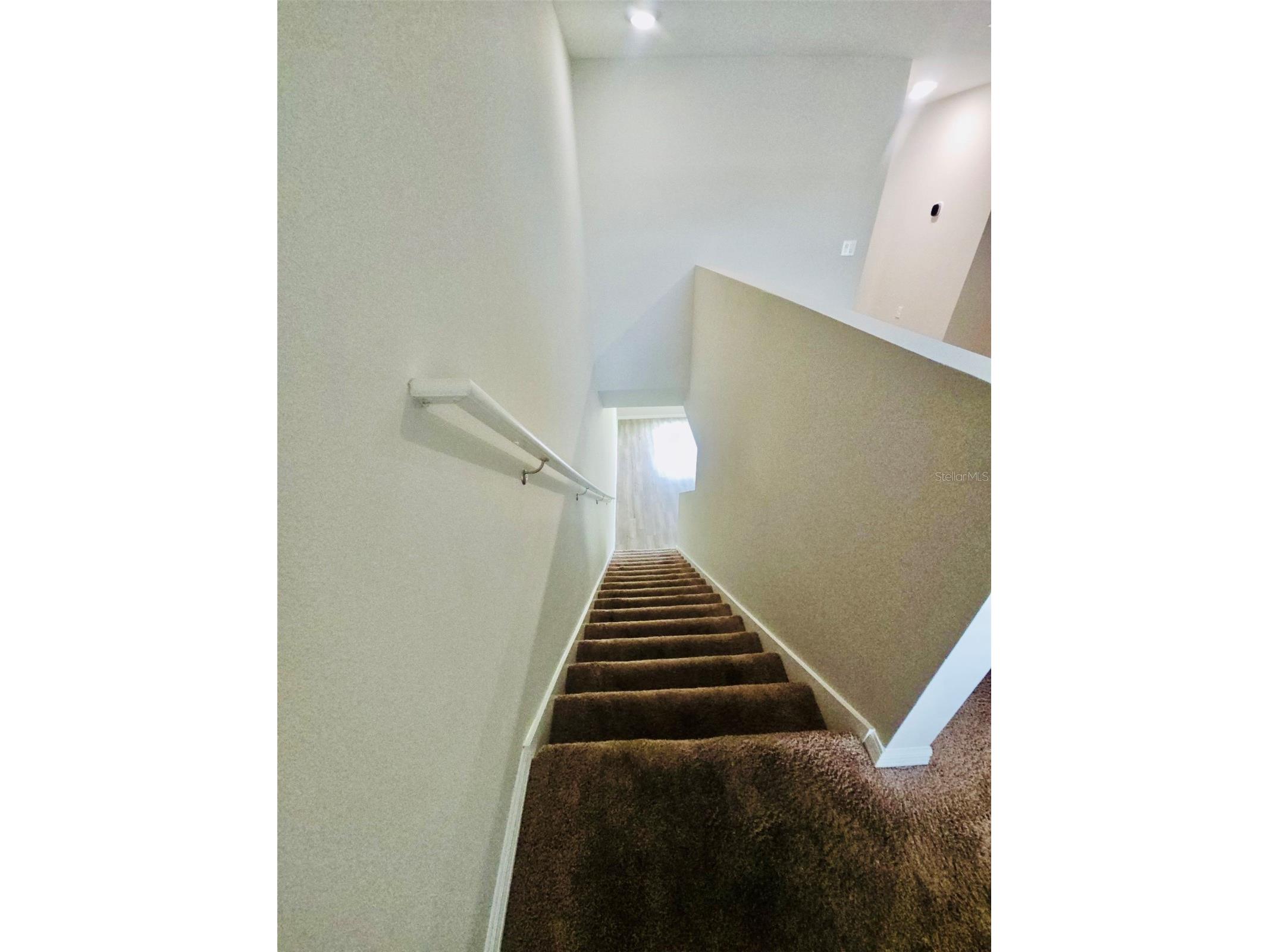 34436 Moonflower Avenue Wesley Chapel FL 33545 TB8508473 image12