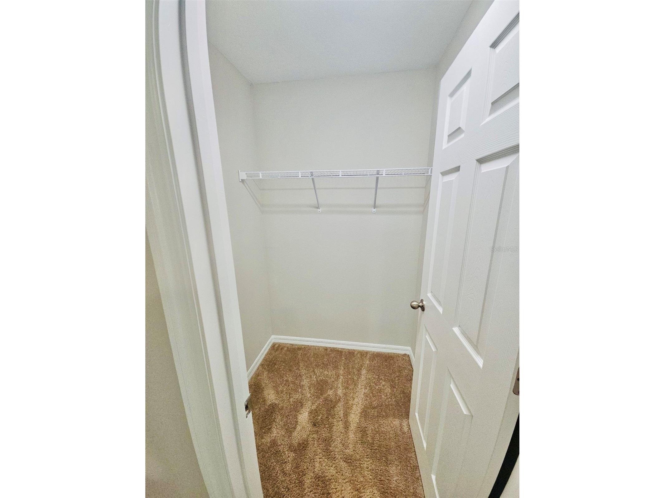 34436 Moonflower Avenue Wesley Chapel FL 33545 TB8508473 image21