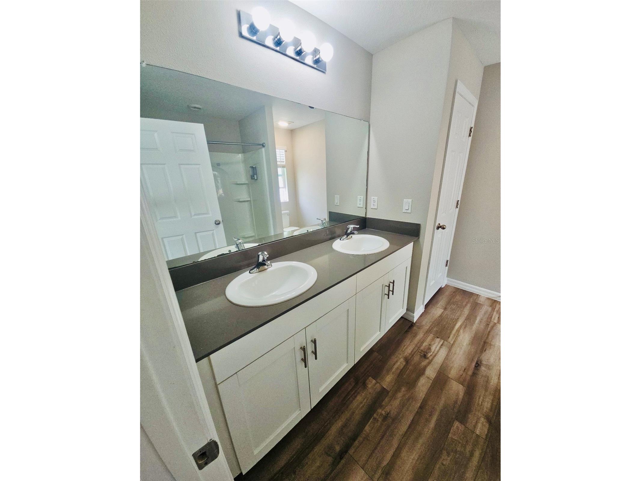34436 Moonflower Avenue Wesley Chapel FL 33545 TB8508473 image24
