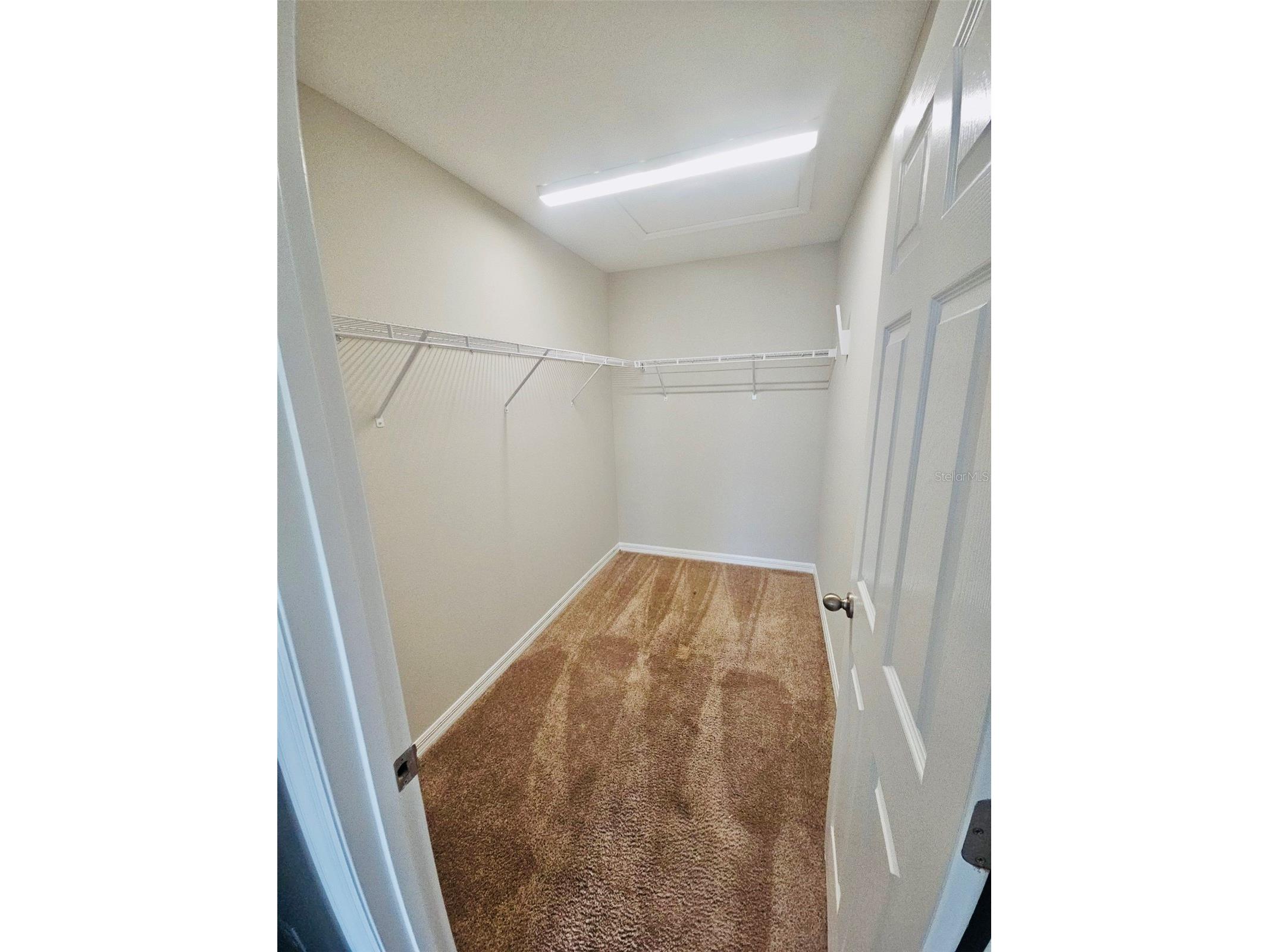 34436 Moonflower Avenue Wesley Chapel FL 33545 TB8508473 image25