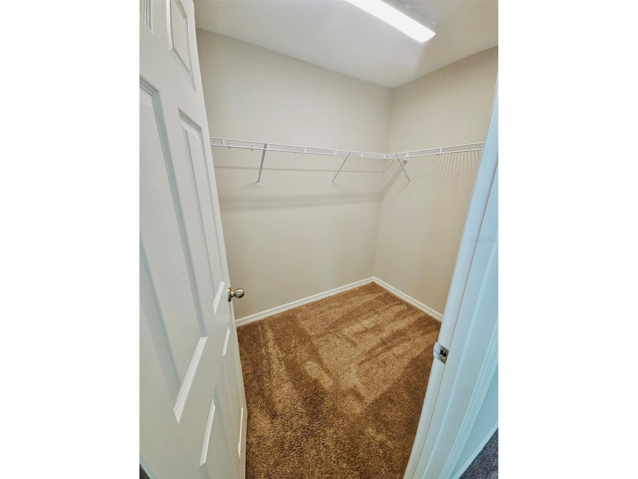 34436 Moonflower Avenue Wesley Chapel FL 33545 TB8508473 image28