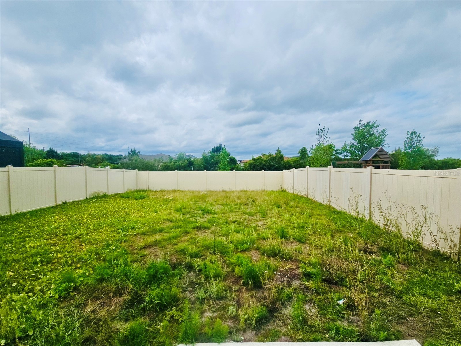 34436 Moonflower Avenue Wesley Chapel FL 33545 TB8508473 image36